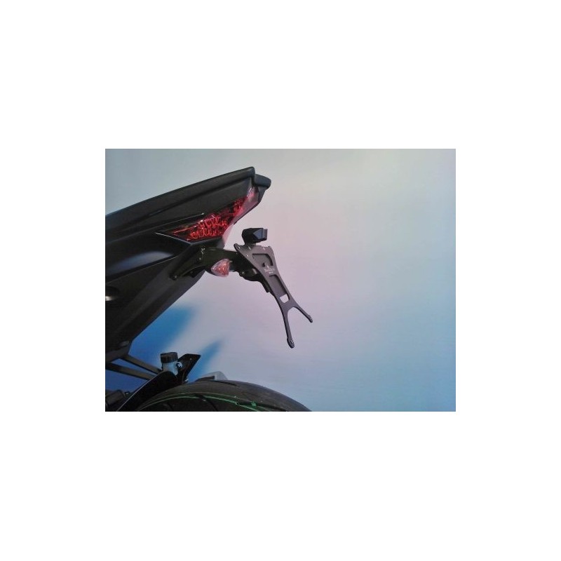 KENNZEICHENHAL KAWASAKI Z 1000 2014-2016, MIT EINSTELLBARER NEIGUNG