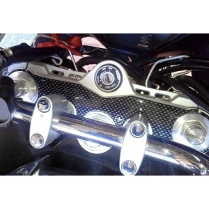 ADESIVO 3D PROTEZIONE PIASTRA STERZO SUZUKI GSX 1250