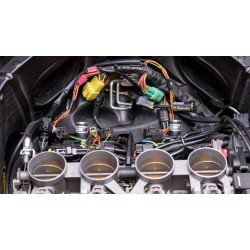 HEALTECH SECONDARY AIR SYSTEM EXCLUDER FÜR TRIUMPH BONEVILLE 800 2001-2015