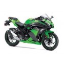 Ninja 300 - 2013/2018