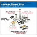 Linkage Revision Kit