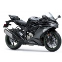 ZX-6R 636 - 2019/2020 (Euro 4)